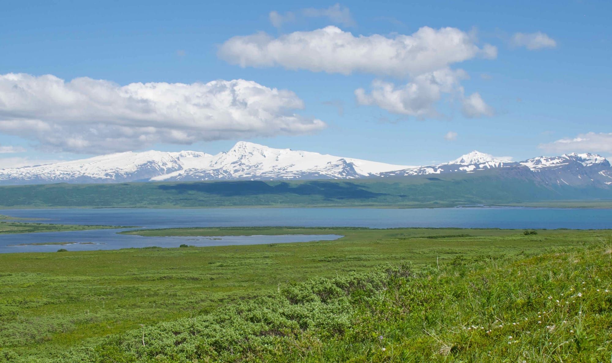 Susitna Writer's Voice 12-13-20 - "A Portrait of Two Ecosystems", by Maureen Chambrone
