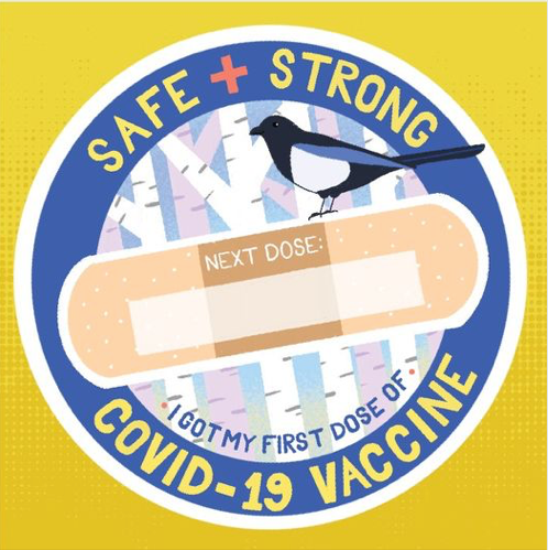 Emergency Medicine doctors speak with Talkeetna Council about COVID-19 vaccines