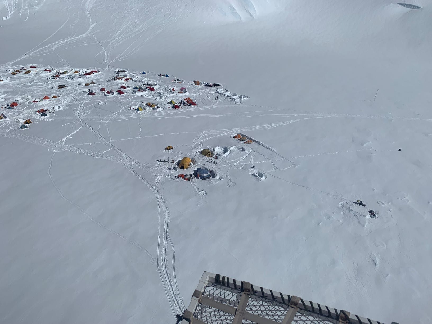 Denali Report for June 11th, 2021