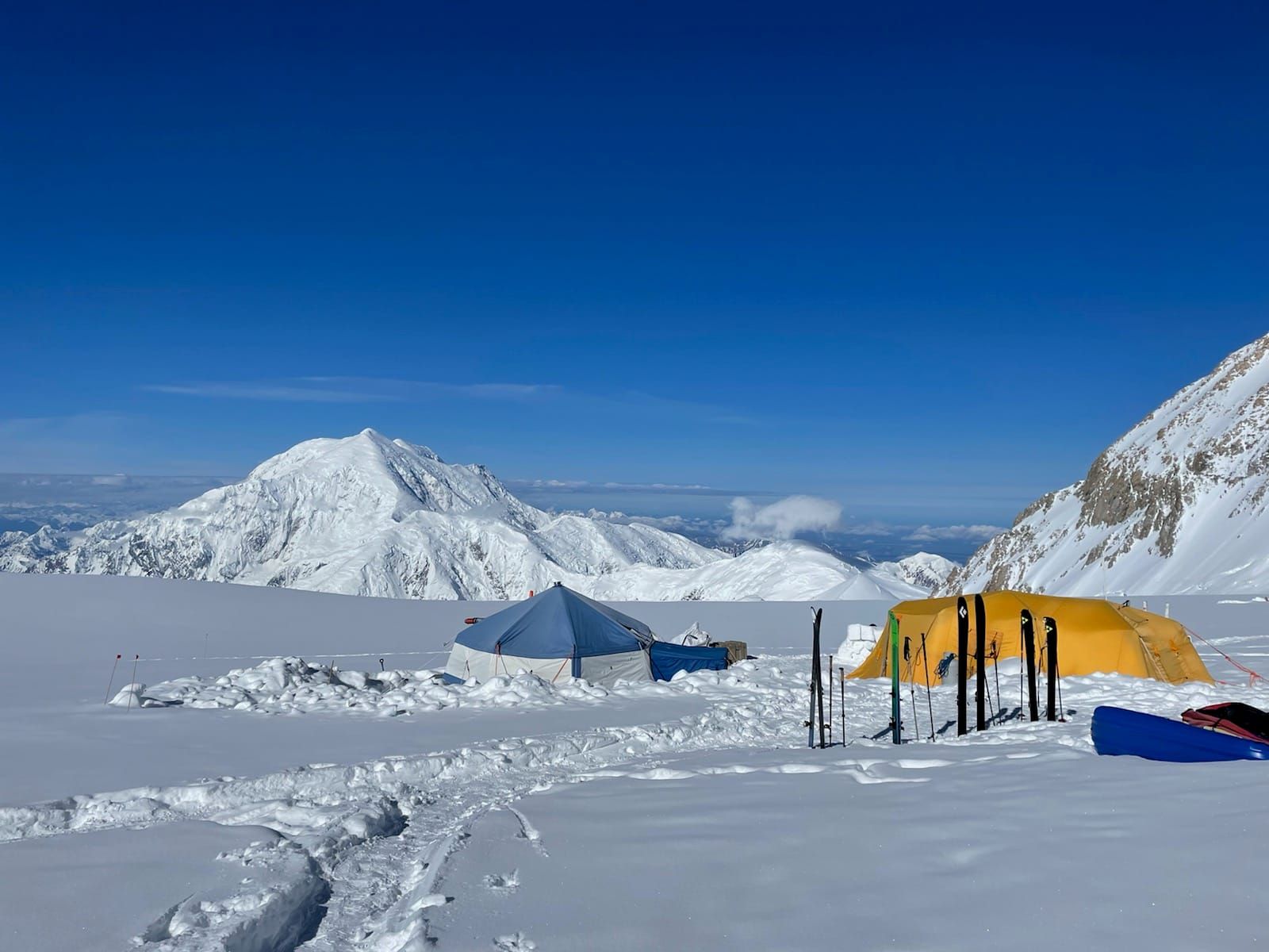Denali Report for July 2nd, 2021