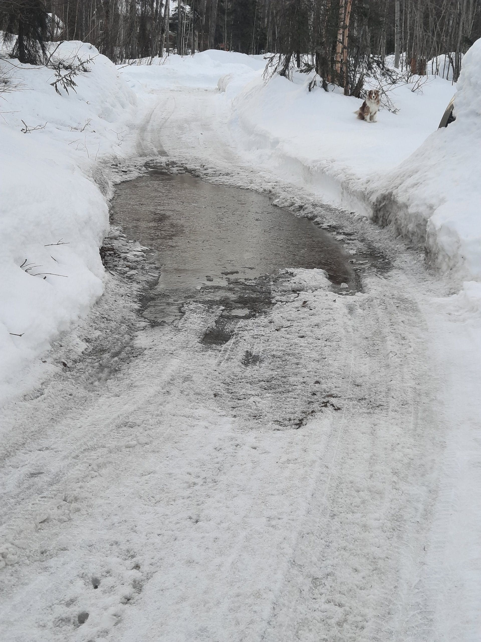 Susitna Writer's Voice - April 17th, 2022 "Breakup", by Laura Wright