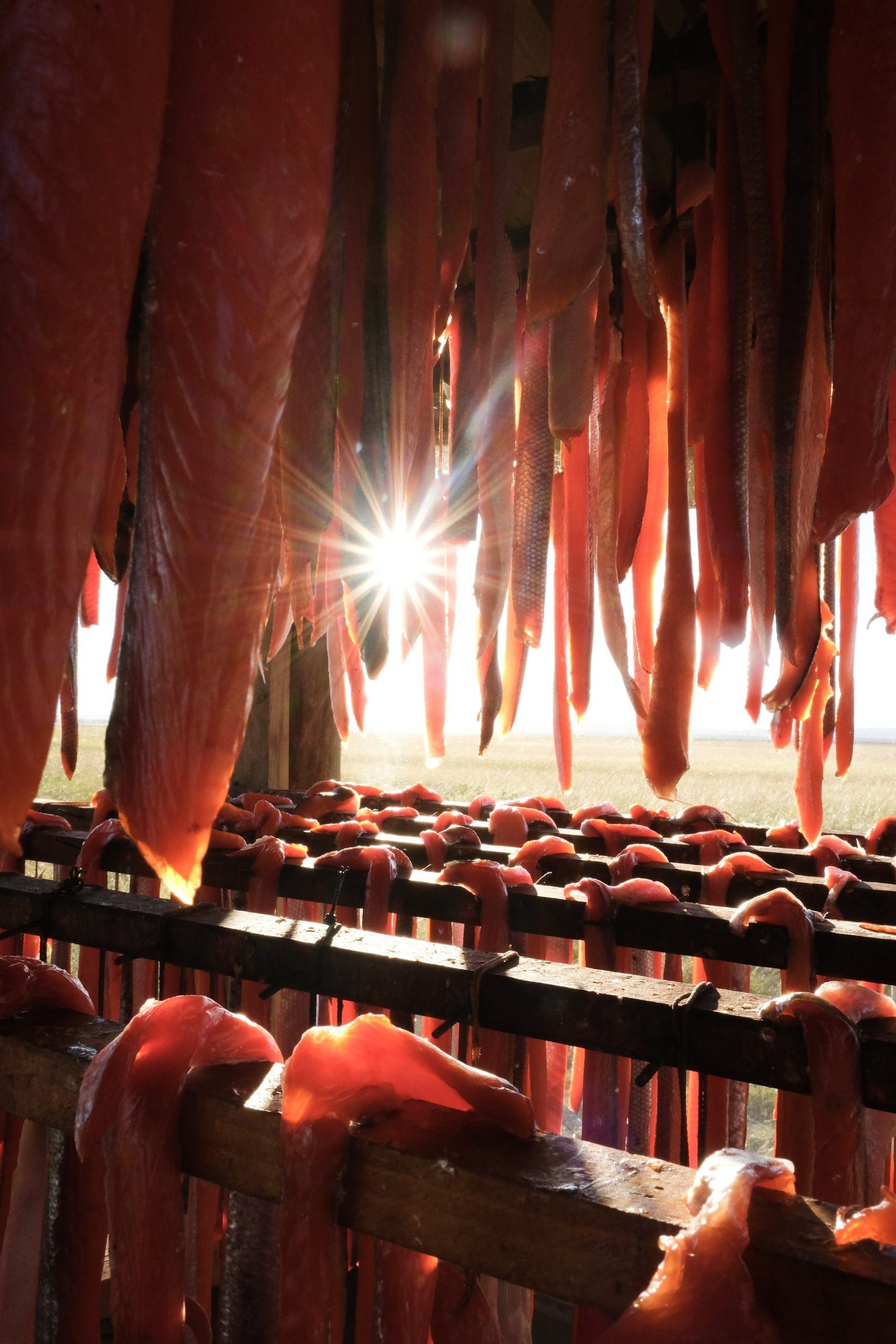 A Week at Susitna Salmon Co