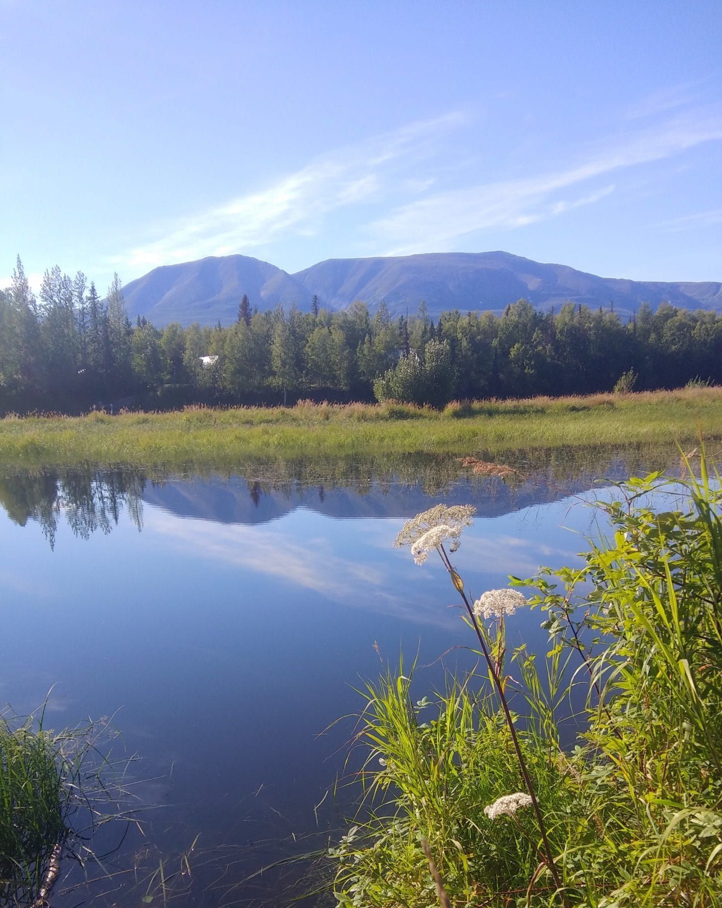 Life Along Alexander Creek: Nancy Conklin and Mike Mason's Story