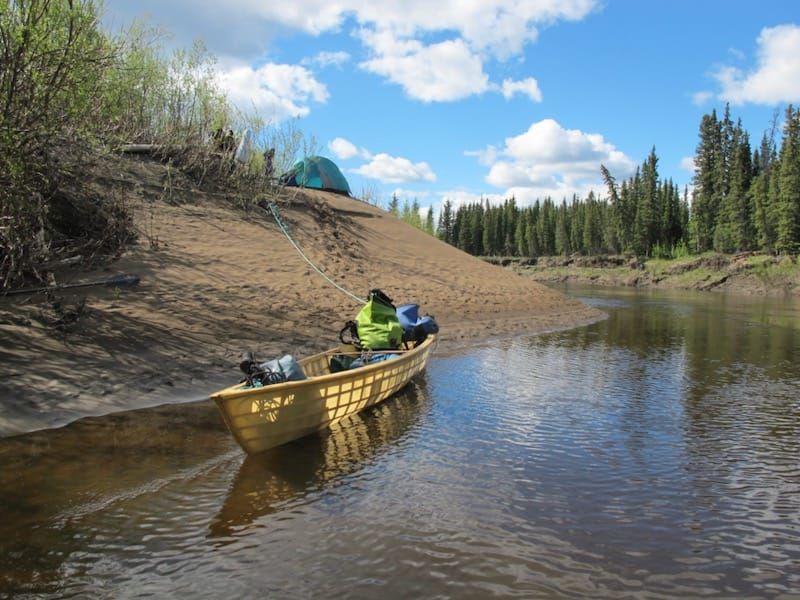Susitna Writers Voice - September 11, 2022  "Me and the Bear", by Maureen Chambrone