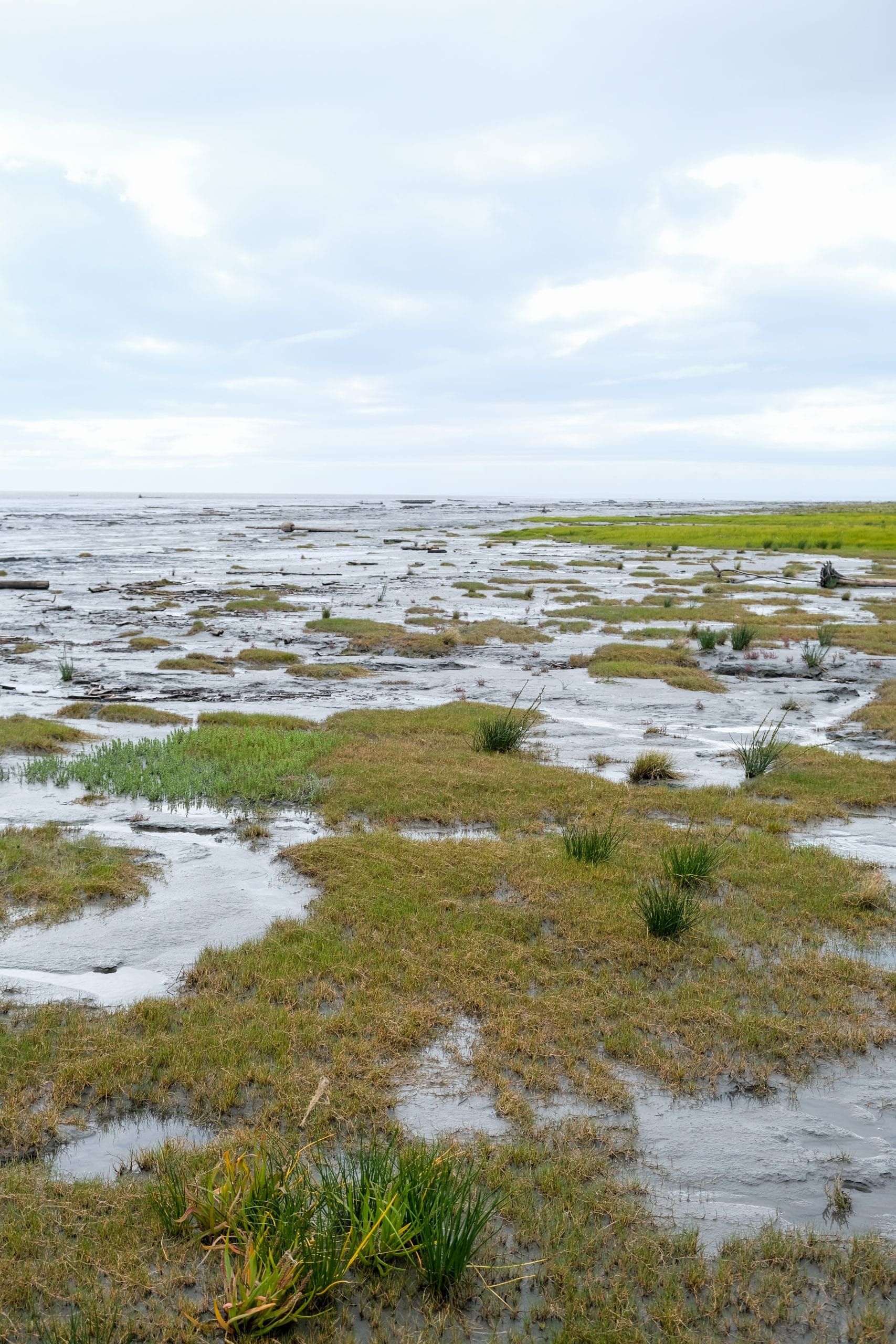 Life as a Fishing Guide on the Susitna: Adam Cuthriell's Story