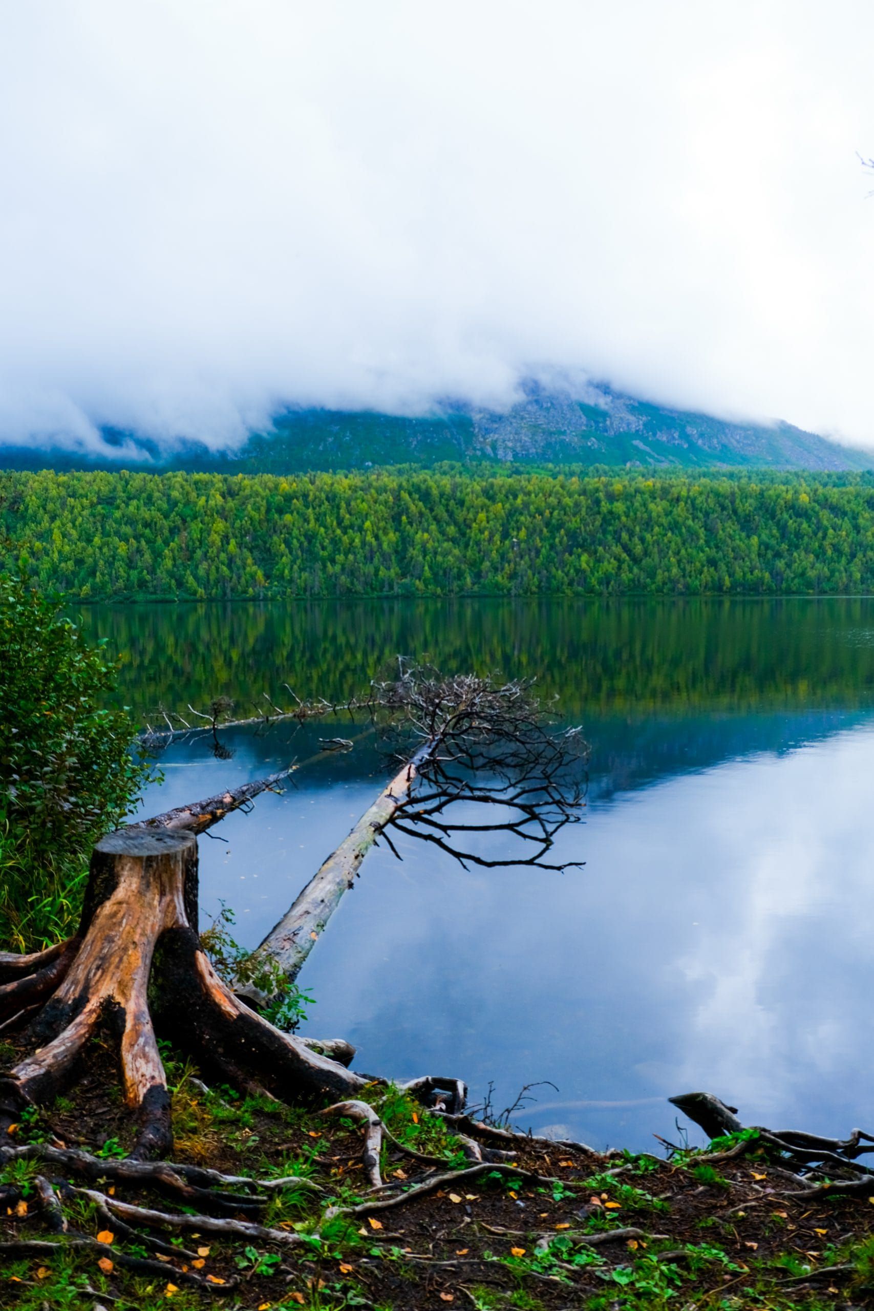 Thank You Talkeetna: An Essay