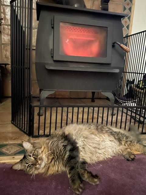 Susitna Writer's Voice - December 11th, 2022, "Wood Stoves: tips, tricks and mishaps" pt 2, by various writers