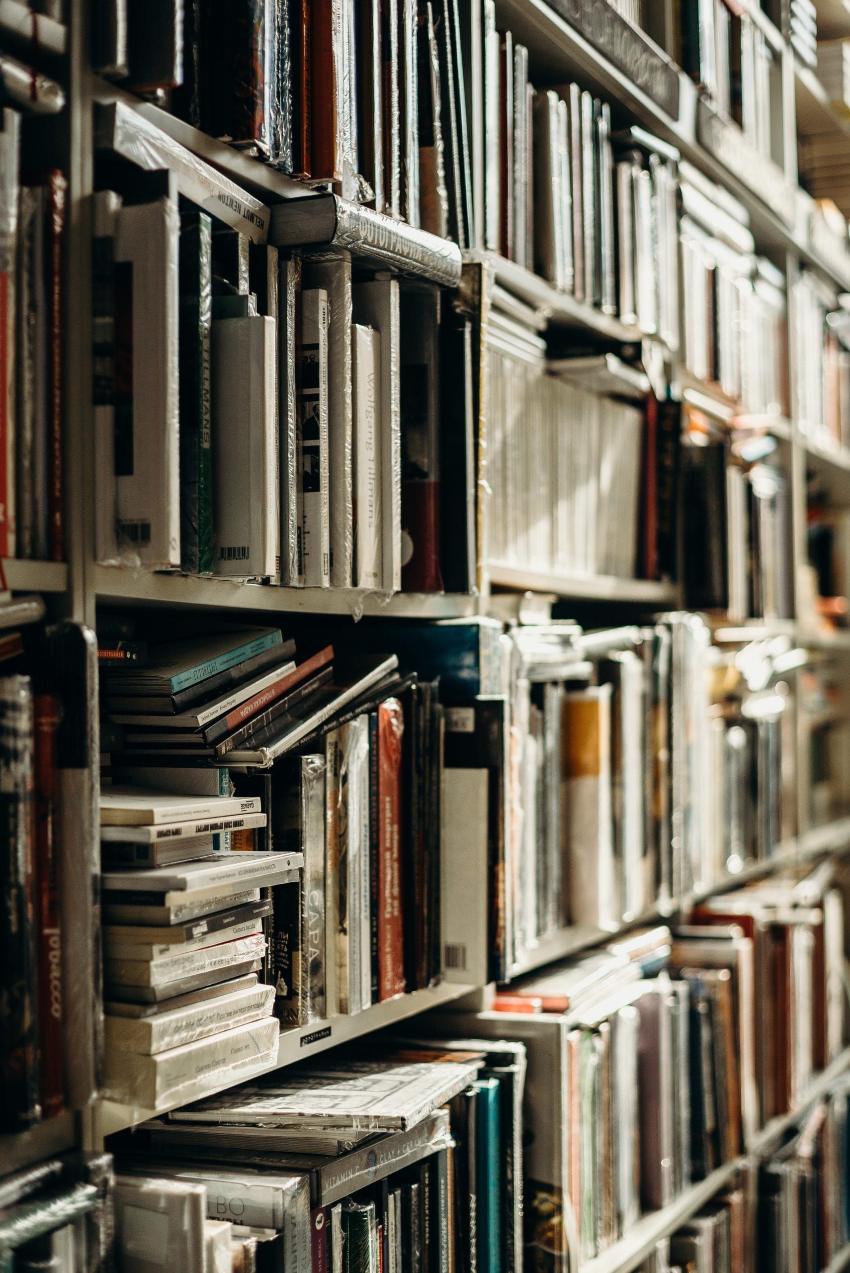 School Library Advisory Committee Holds First Meeting