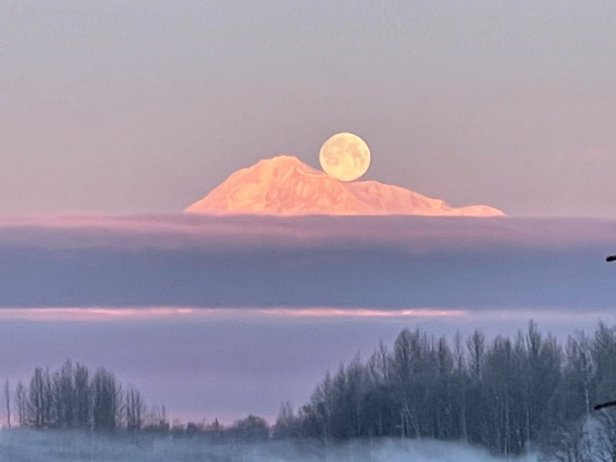 StarDate Susitna 1-7-24, by Kathleen Fleming