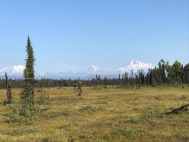 Denali from Petersville Road in Trapper Creek