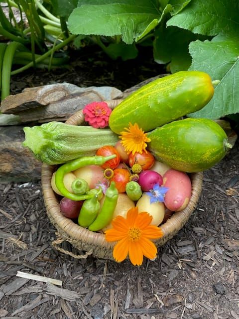 Garden produce in a basket