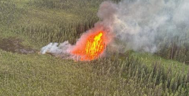 Susitna fire, four miles west of Willow, ignited by lightning on June 23, 2024. Photo: