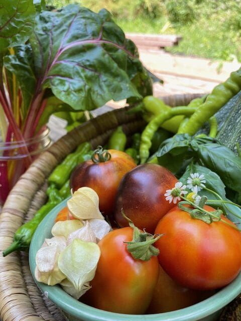 A variety of fruits and veggies