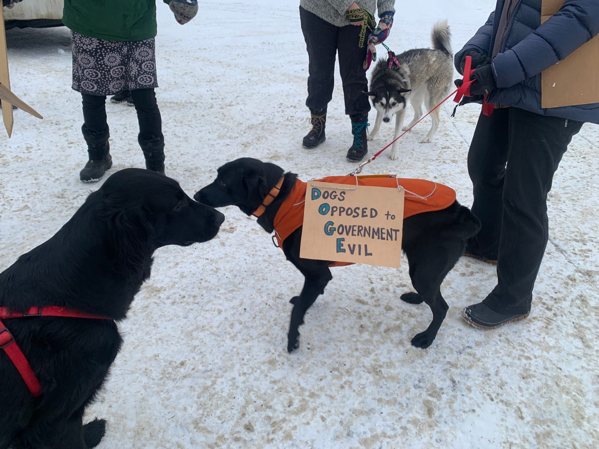 Some Talkeetna residents gather to protest President Donald Trump’s administration