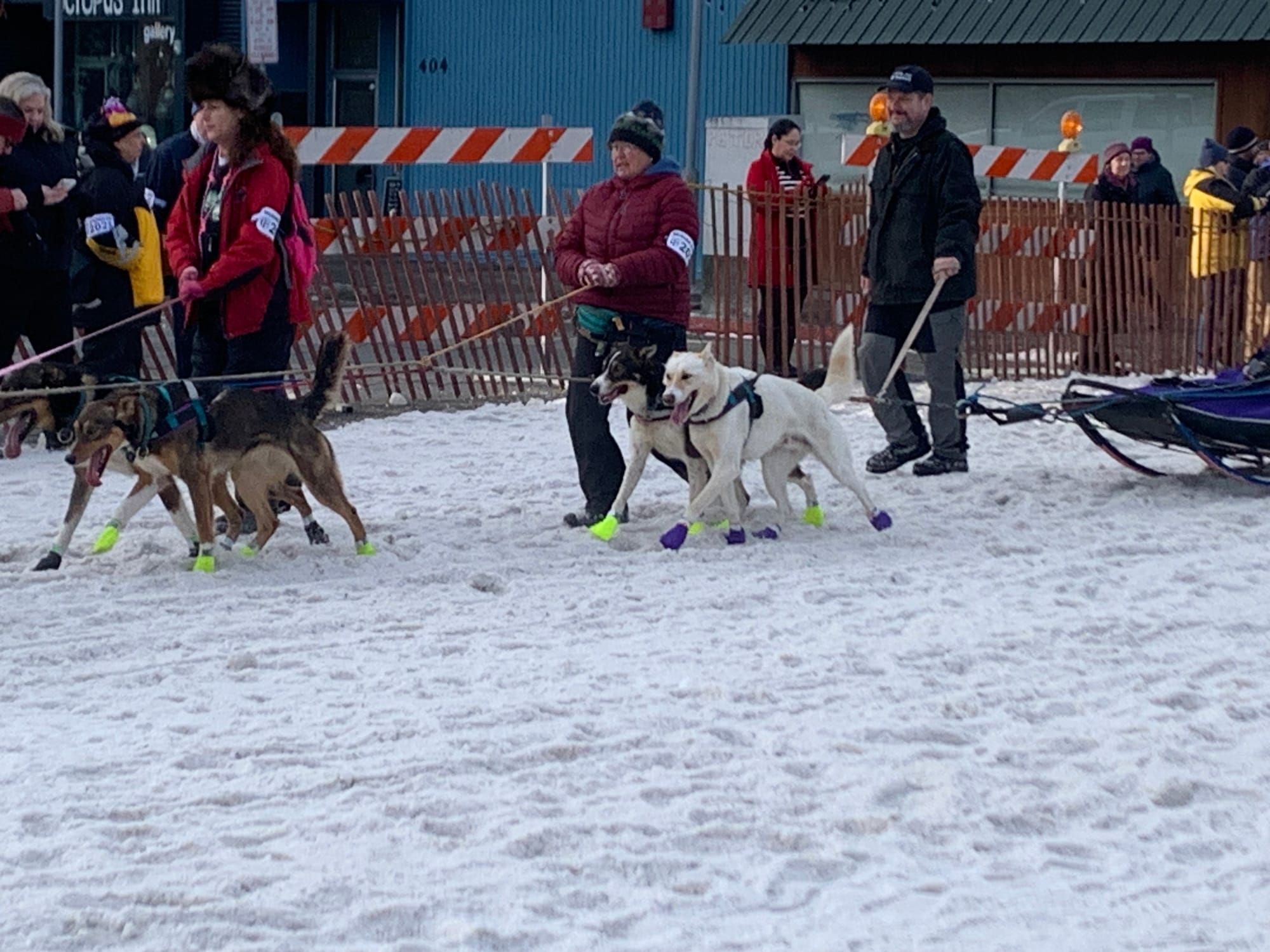 Iditarod Report March 3rd, 2025