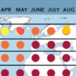 Susitna Writer's Voice 6-22-25 StarDate Susitna, by Kathleen Fleming