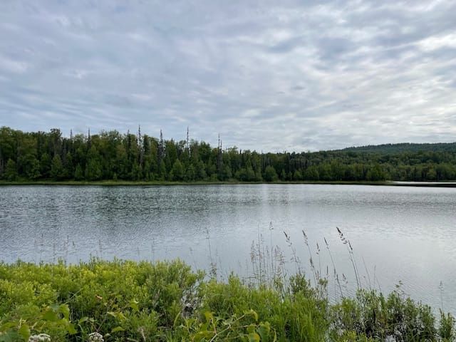 A picture from the red trail around X Lake in Talkeetna, showing a view of the lake.