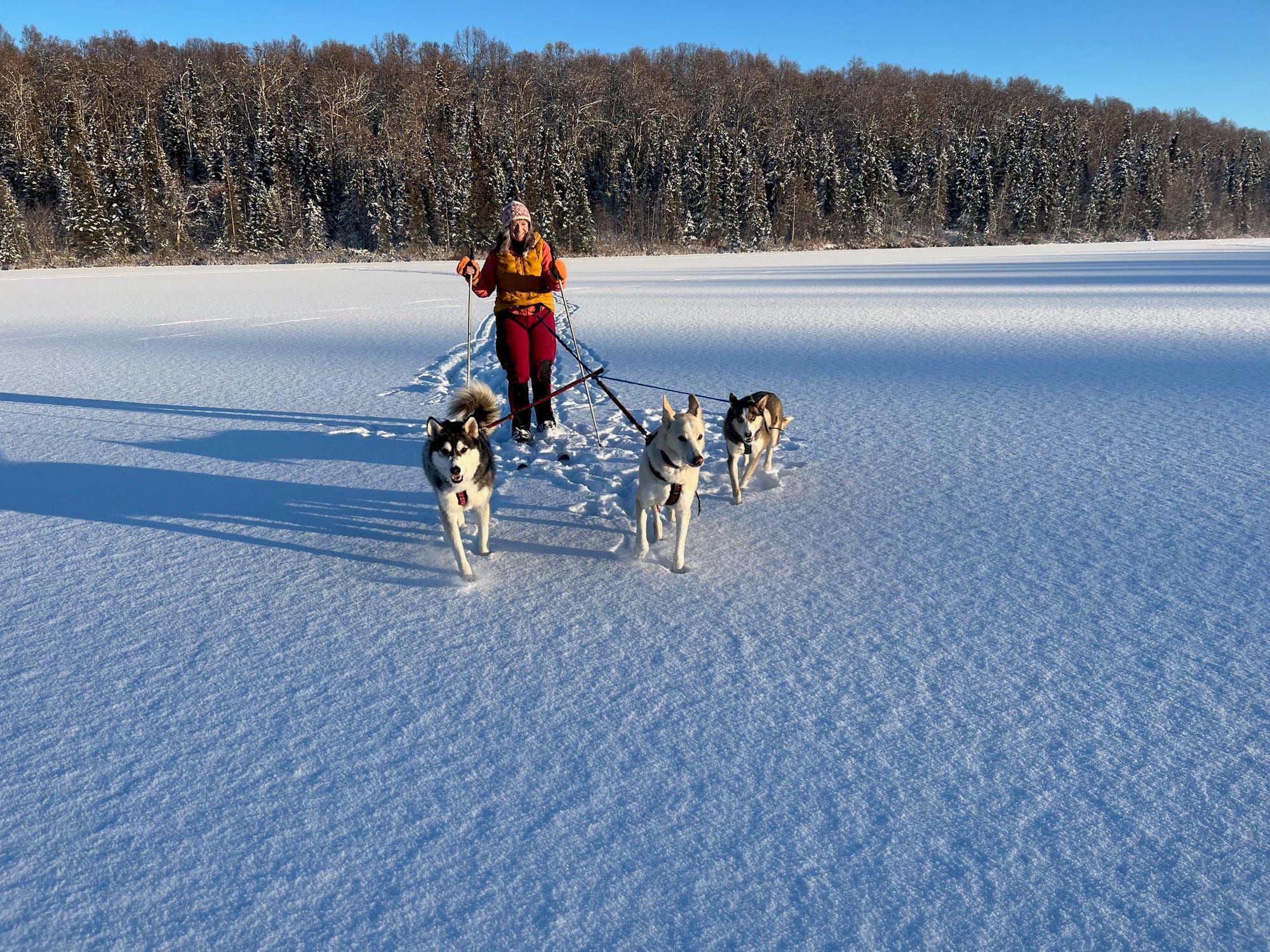 Winter Activities in the Upper Susitna Valley