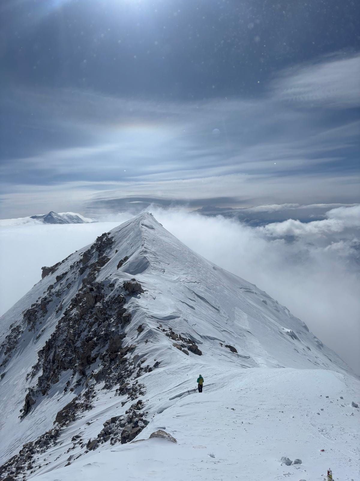 Denali Report for May 29th, 2026