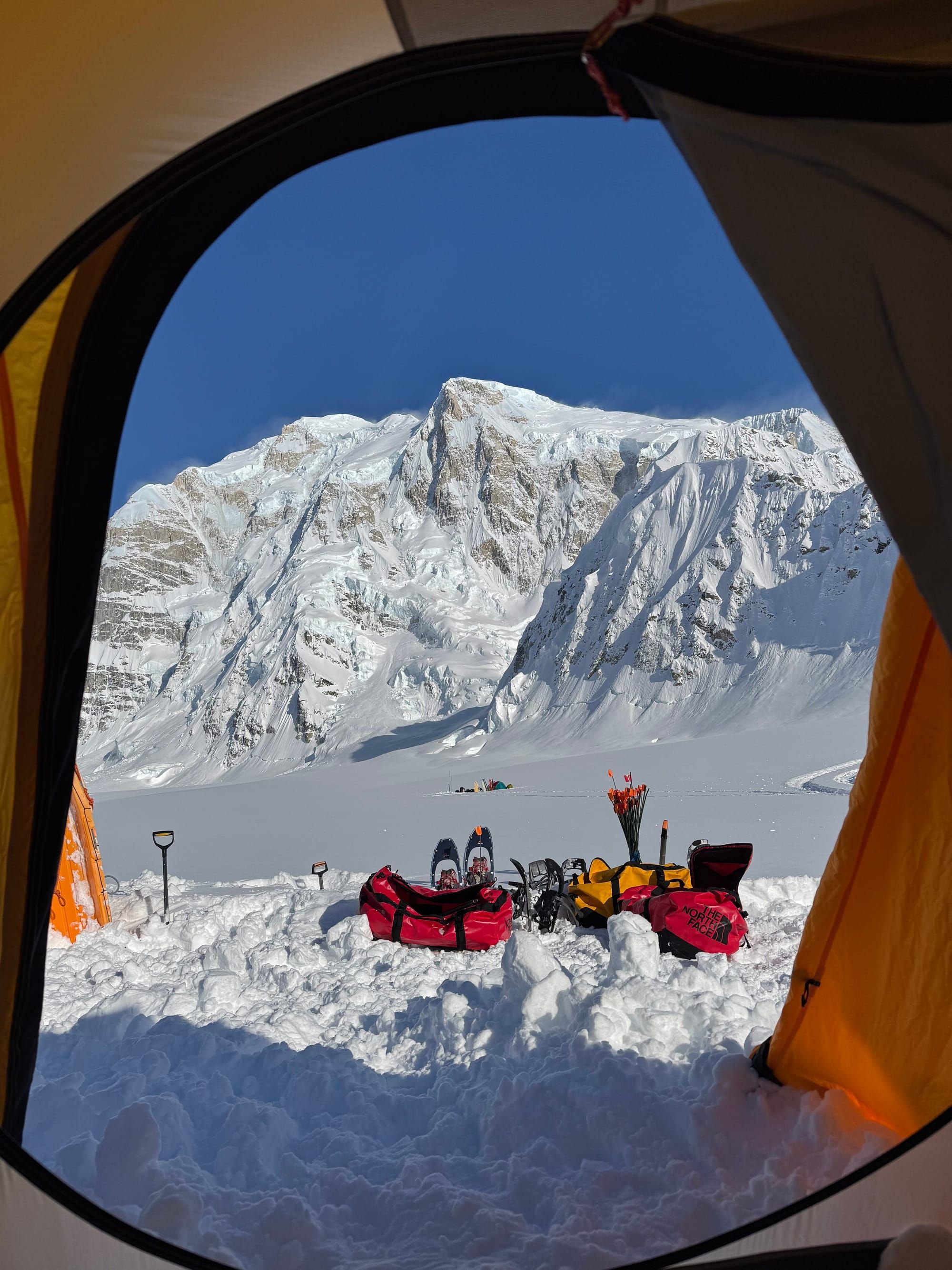 Denali Report for July 2nd, 2026