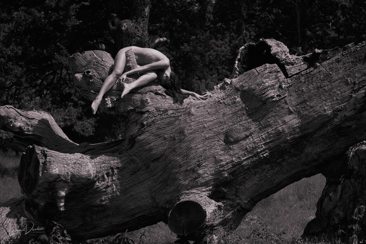 Humans meet the tree spirit