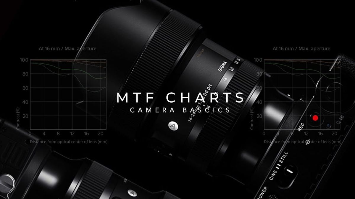 How to Read a Lens's MTF Chart