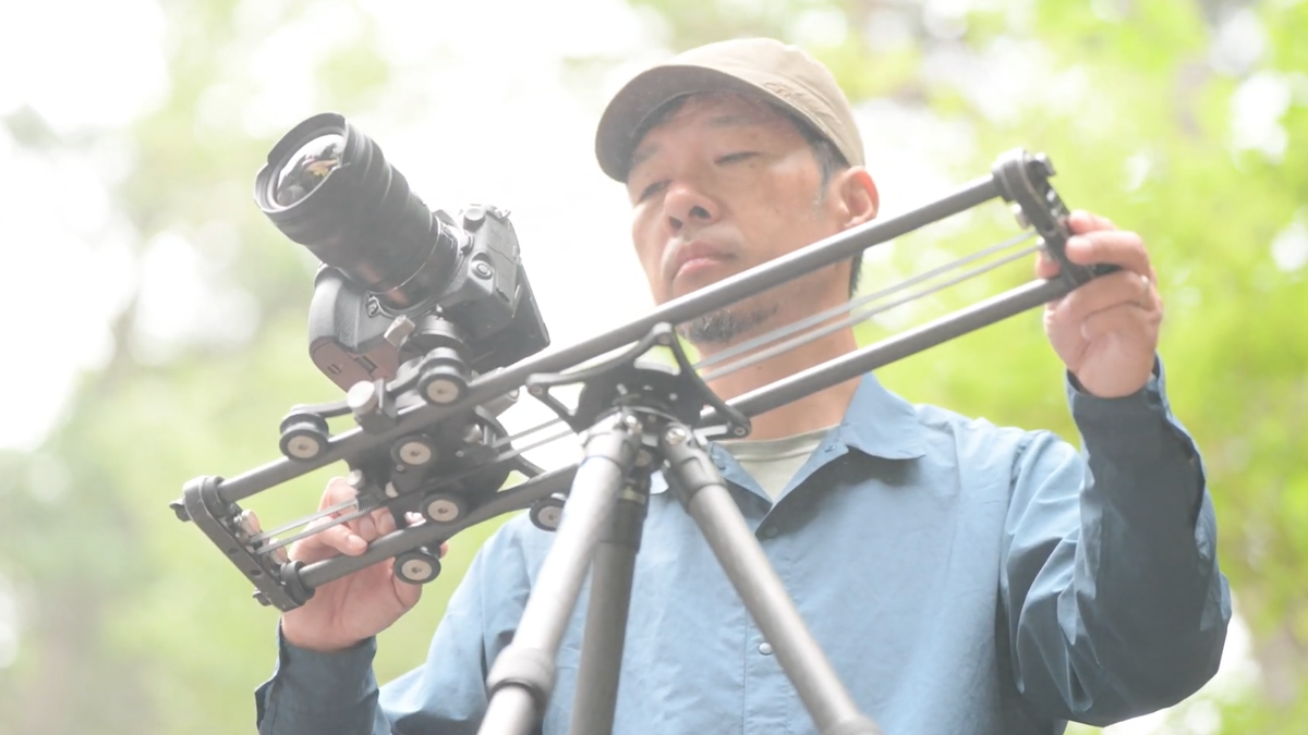What Is N-RAW, and Which Nikon Cameras Shoot It?