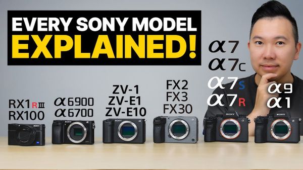 The Sony Camera Lineup Is a Mess. Here's How to Actually Choose One.