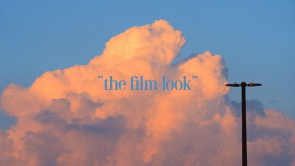 Digital Film Emulation: Is Software the Most Cost-Effective Way to Get the Analog Look?