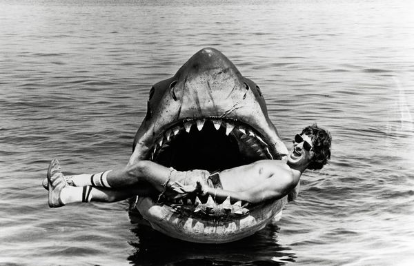 There's a New Jaws Documentary — and It's Asking the Question Every Filmmaker Should Be Asking About Classic Films