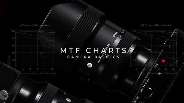 How to Read a Lens's MTF Chart