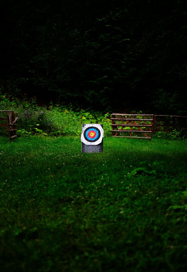 white and multicoloured target board on a green field