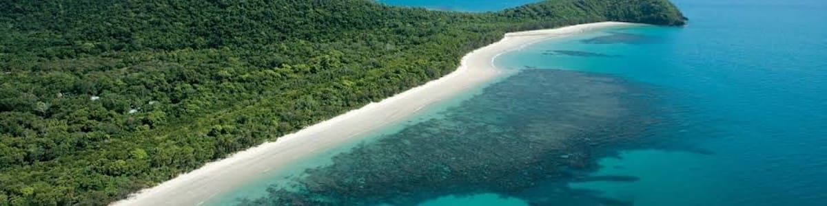 Google Ads Management Cairns