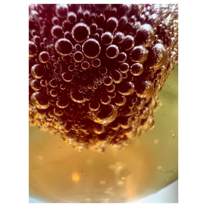 champagne