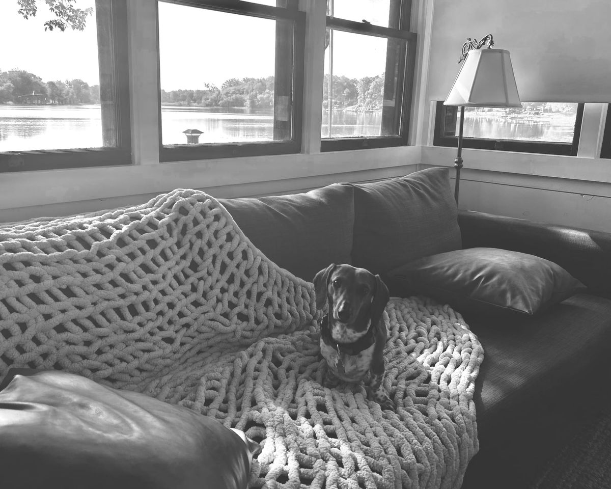 sausage sur la seine