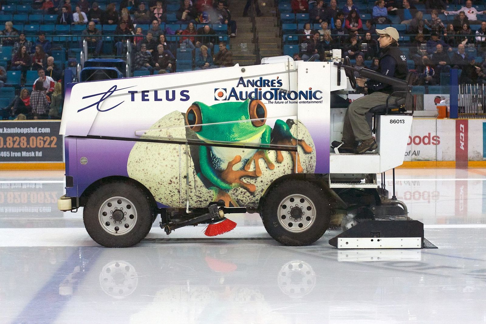 Maple Leafs Prospect Report: Minten, Voit, and Lisowsky