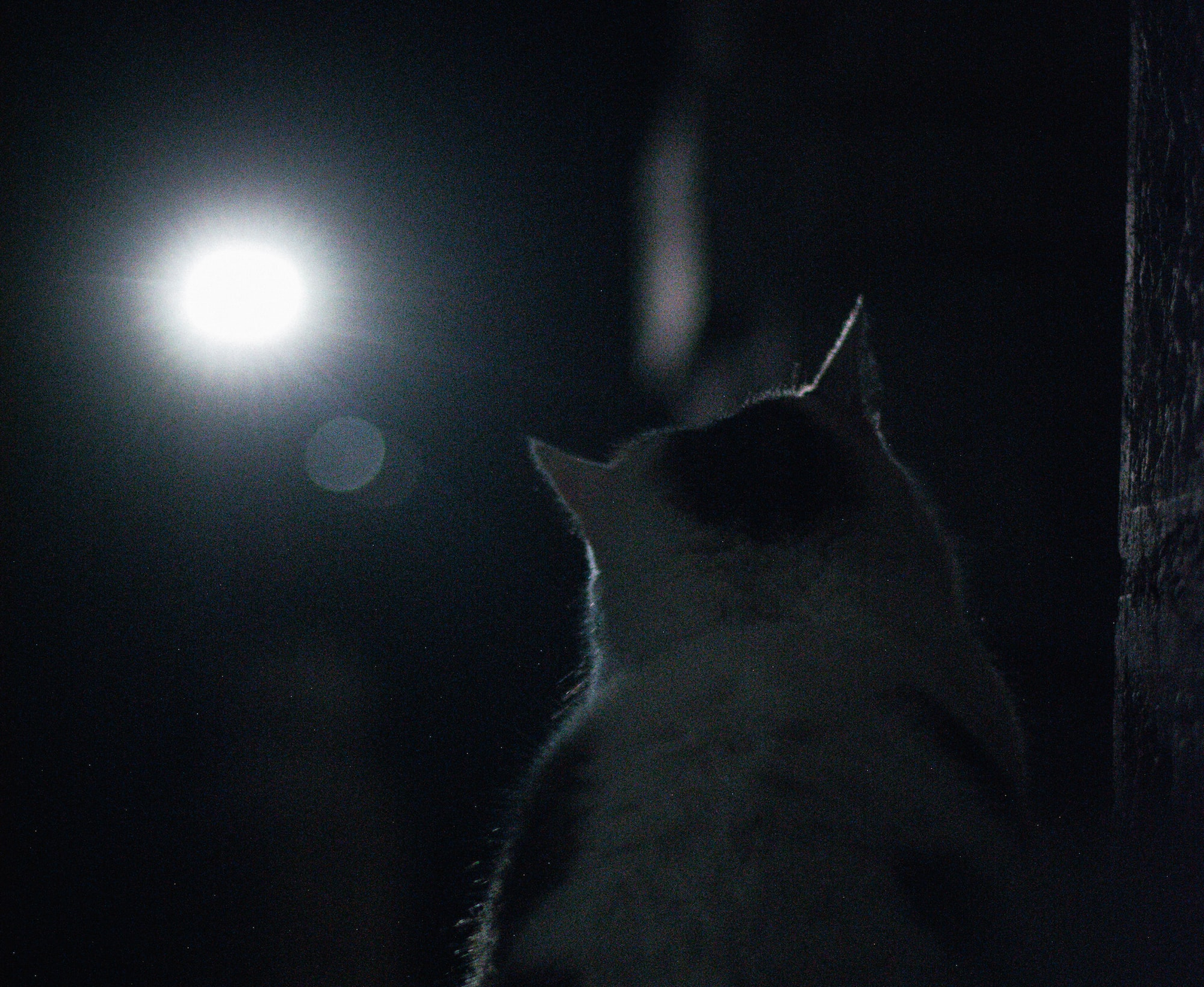 PPP After Dark: Feeling comfortable enough to laugh at other teams