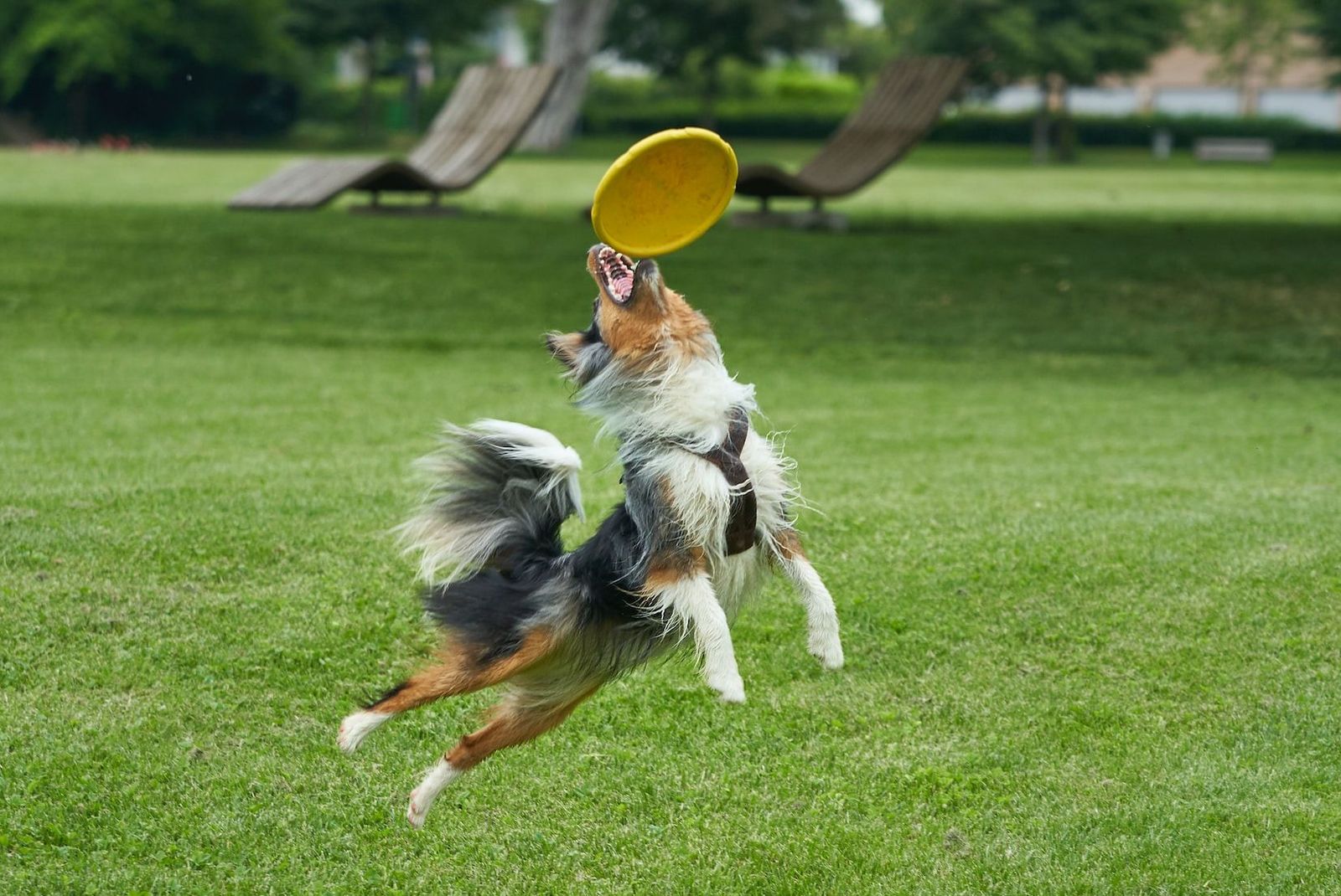 Saturday FTB: Preseason is almost here, I swear