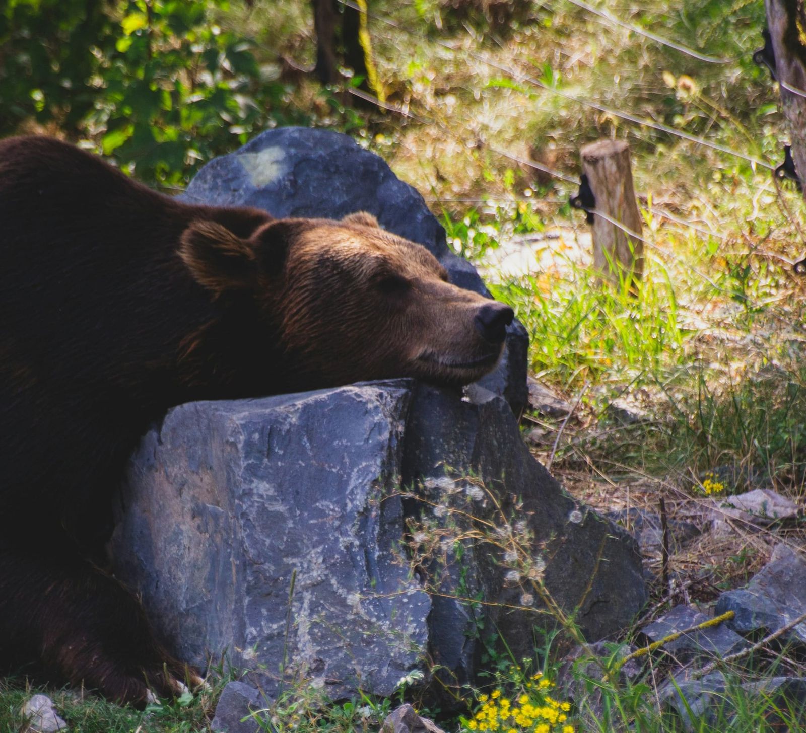 Monday's FTB: A chance to get back in it