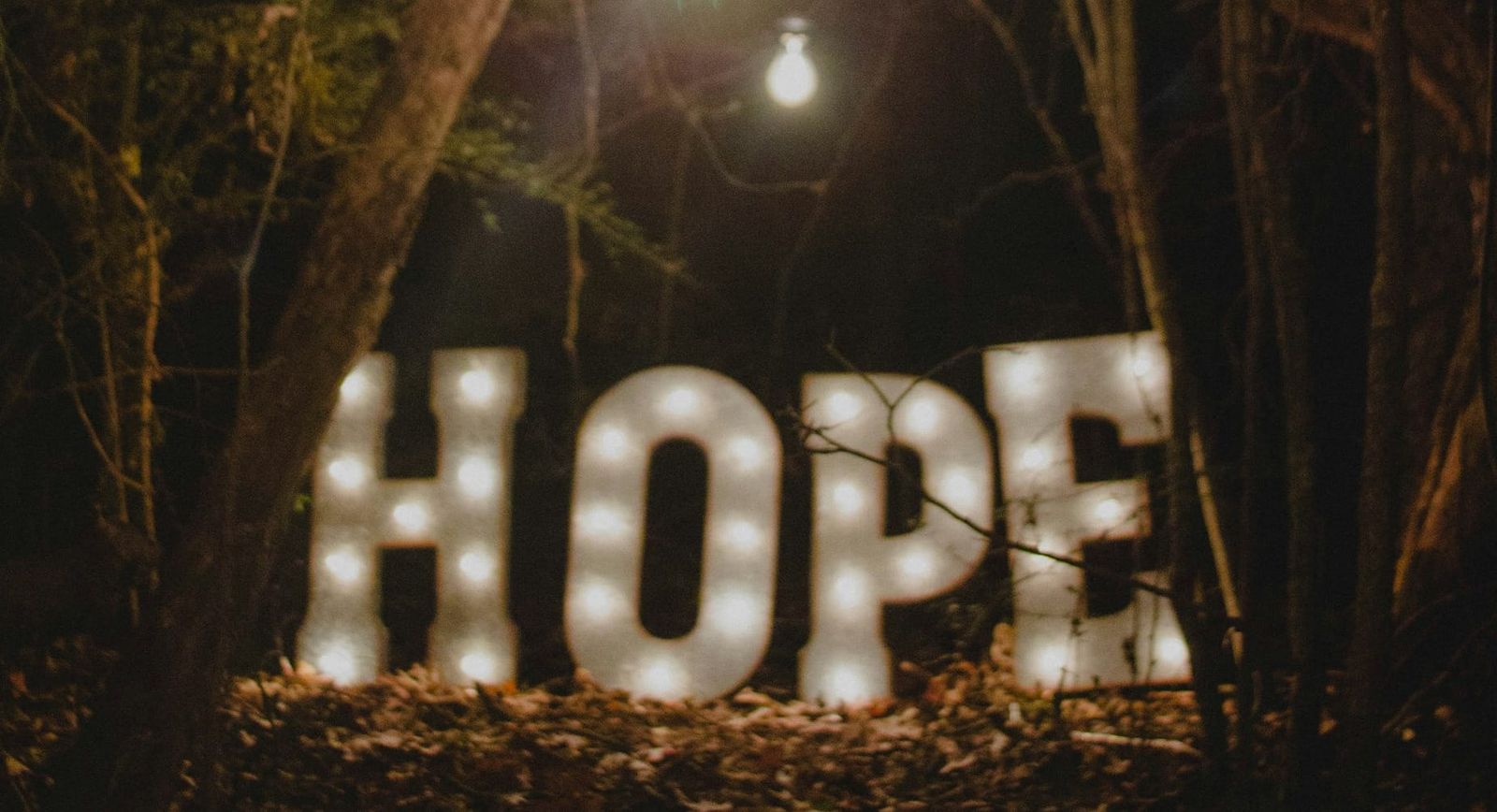 Sunday FTB: A New Hope
