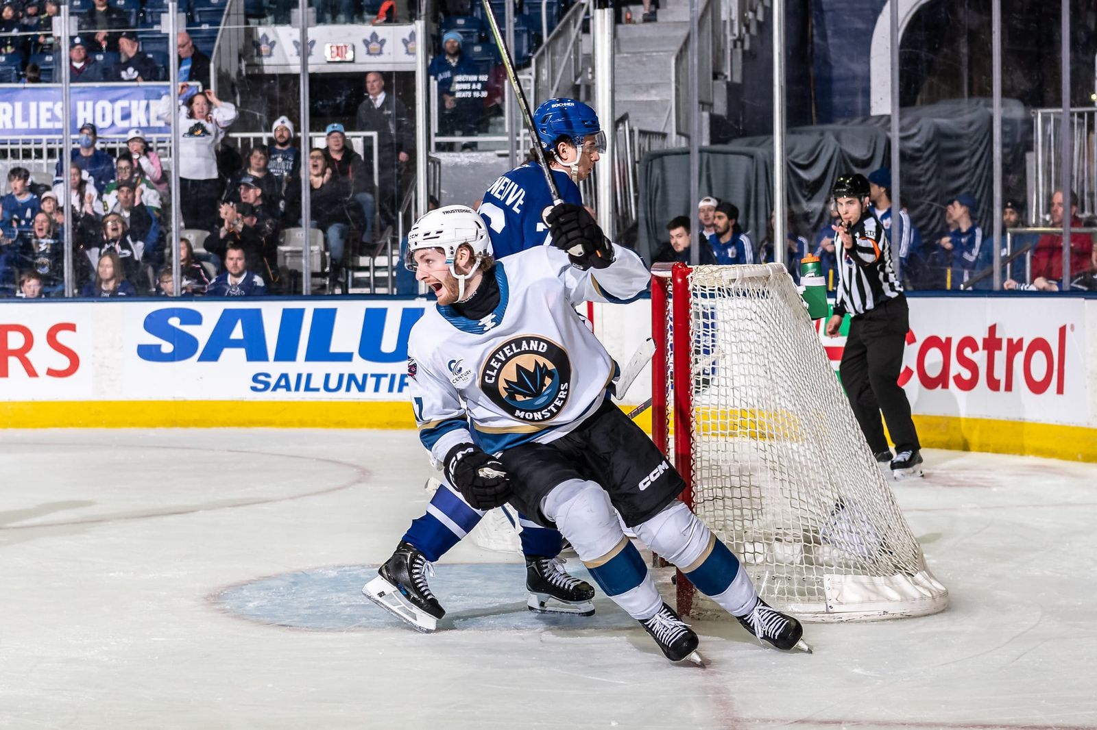 The Toronto Marlies season comes to an abrupt end