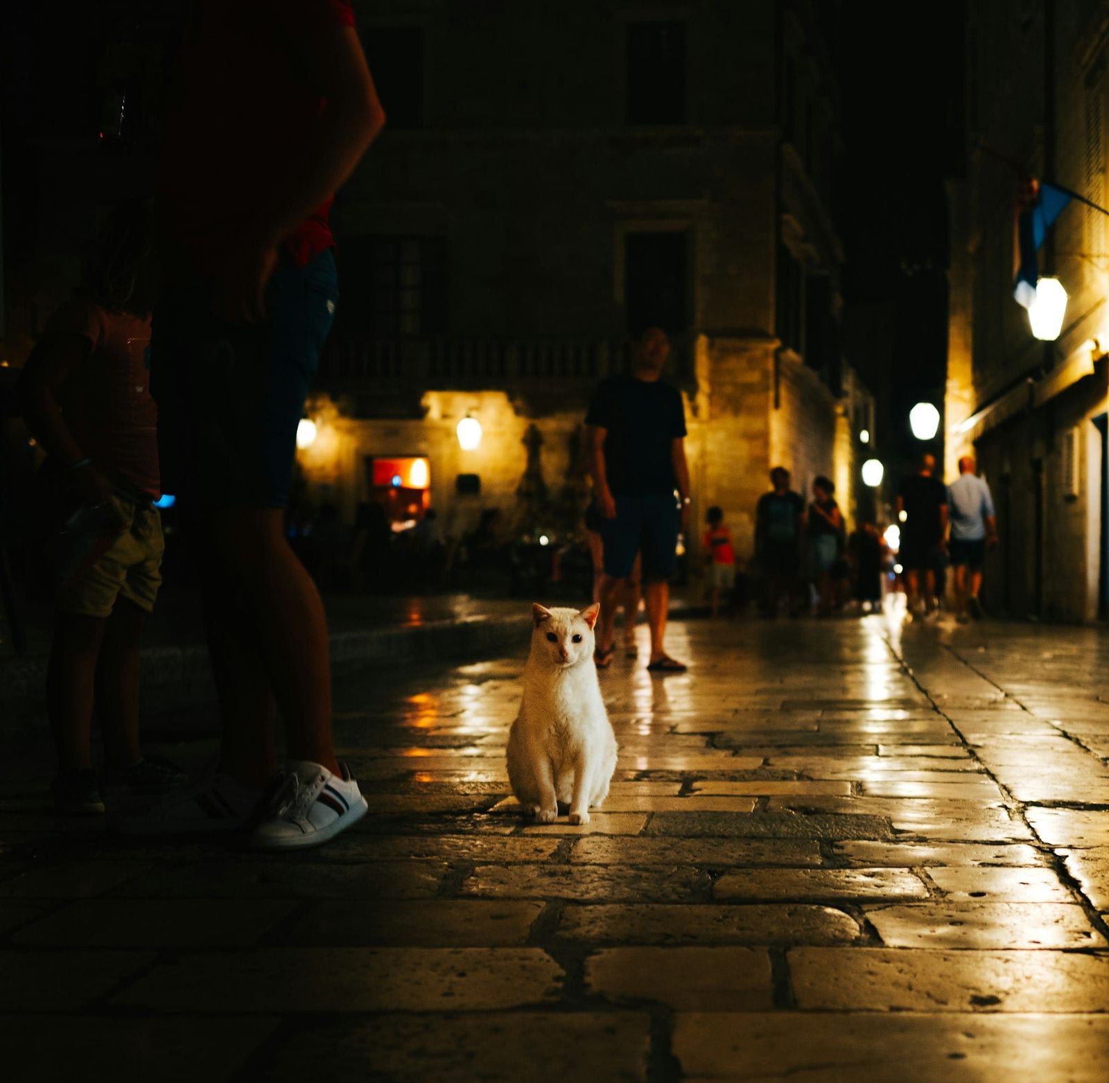 PPP After Dark: Only one game, not two edition.