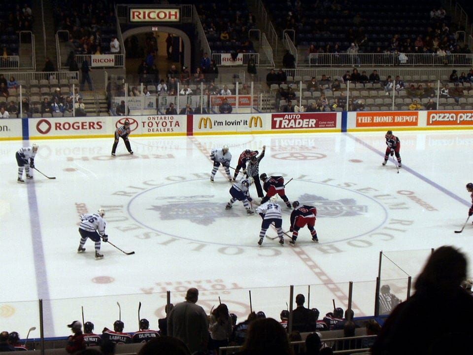 Maple Leafs Prospect Report: The Toronto Marlies