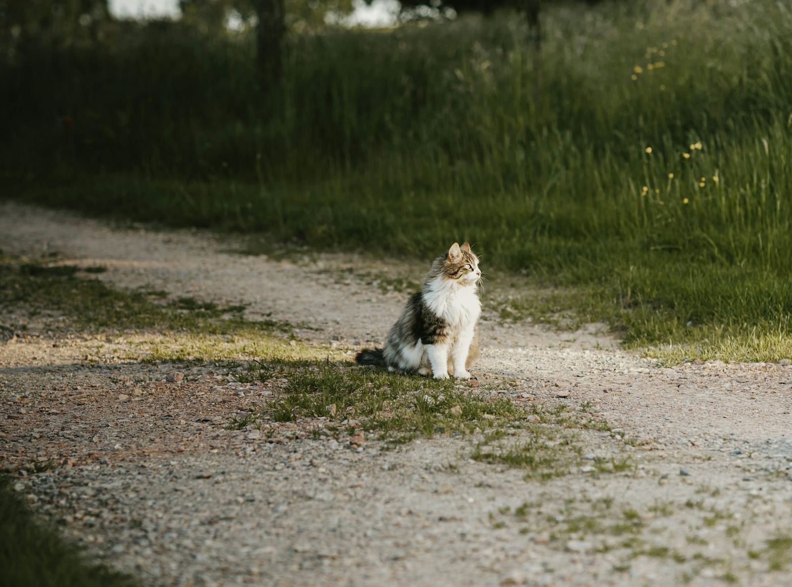 Wednesday's FTB: Finding a way out of the wilderness