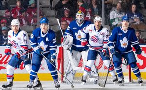 The Marlies will face the Rochester Americans in the North Division final