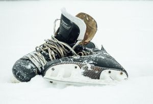 PWHL head coaches announced