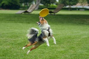 Saturday FTB: Preseason is almost here, I swear