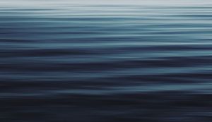 Bobby McMann Clears Waivers