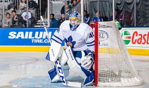 FTB: The Toronto Marlies had a great road trip