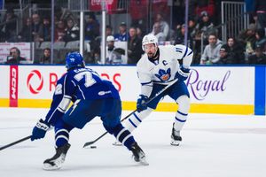 "It's getting a little ridiculous now": Marlies coach sounds off on team's play after another loss